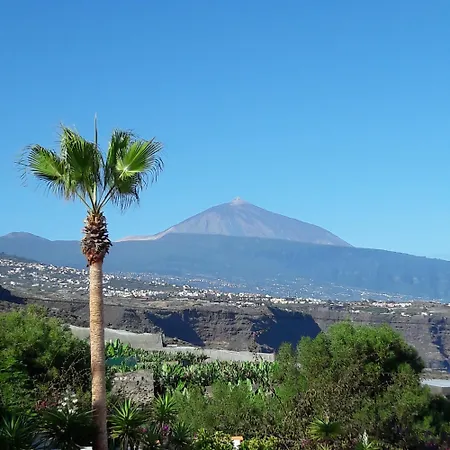 Casa Amadeus Lejlighed